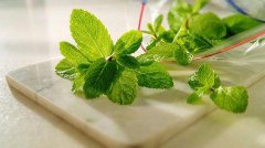 如何正确使用薄荷油的方法