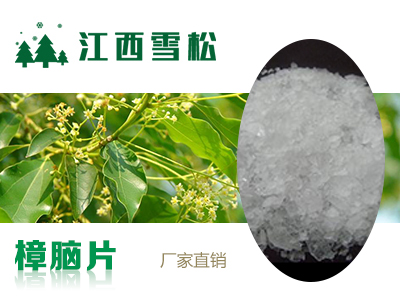 樟脑片